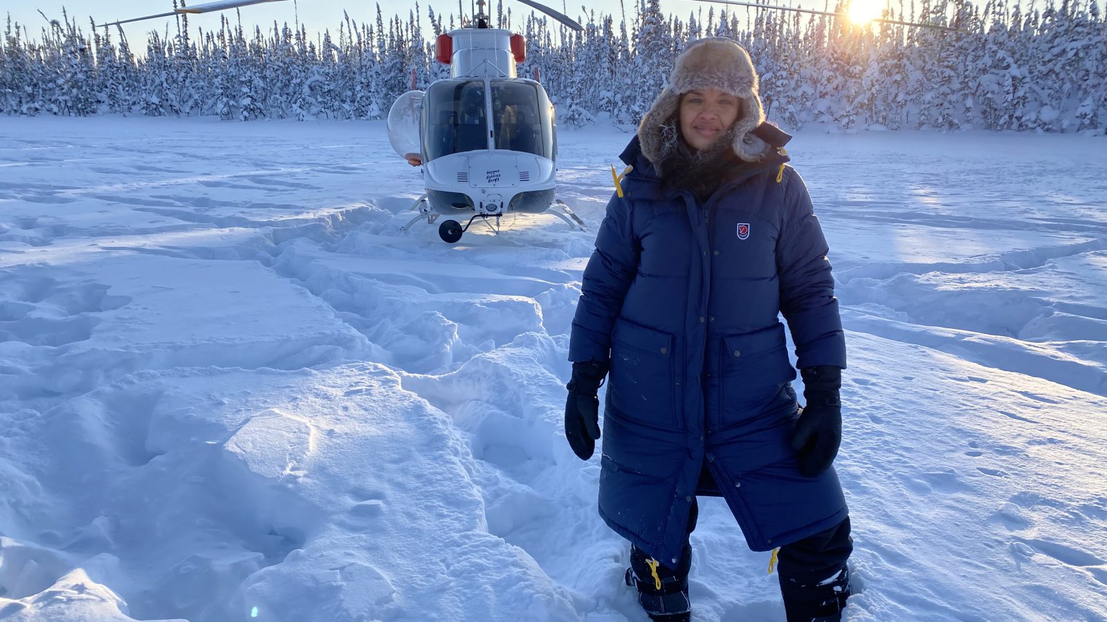 Arctic from Above (Lion TV for Sky Nature)