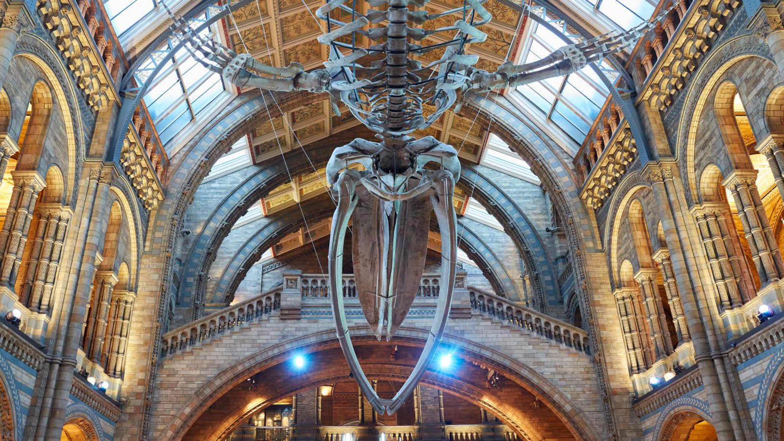 Natural History Museum: World of Wonder (The Garden Productions for Channel 5)