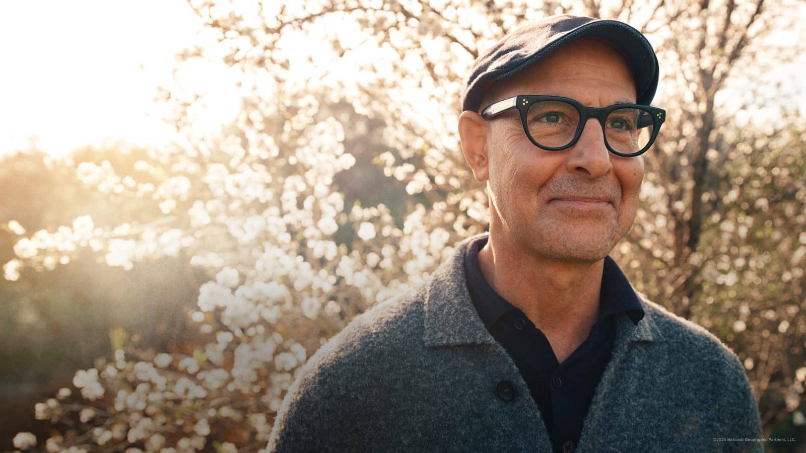 Tucci in Italy (BBC Studios and SALT Productions for National Geographic)